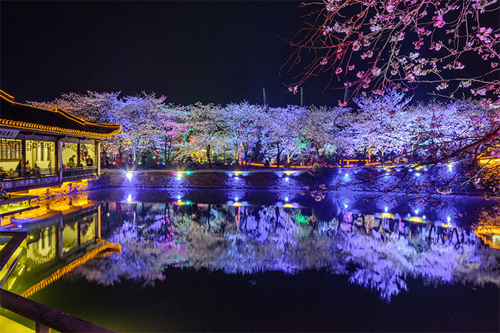 園林亮化設(shè)計(jì)